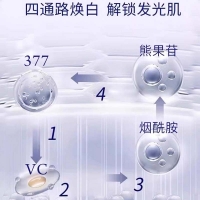 澳芙雪焕颜美白祛斑洁面乳