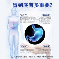 砭贴(养胃贴)(葵花)