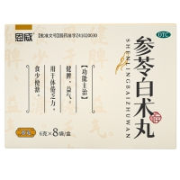 参苓白术丸(恩威)