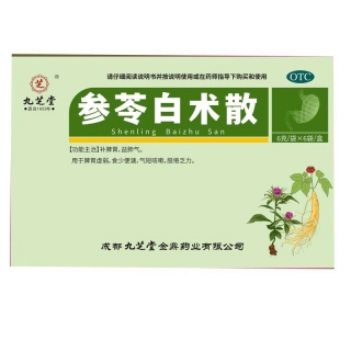 参苓白术散(九芝堂)