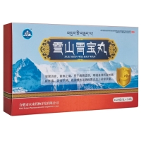 雪山胃宝丸(未来药物)