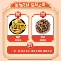 二妙丸(达仁堂）