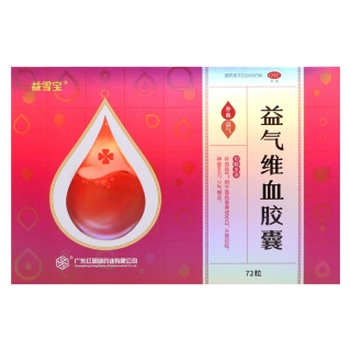 益气维血胶囊(益雪宝)