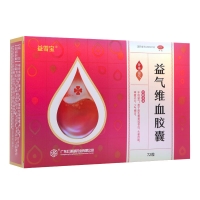 益气维血胶囊(益雪宝)