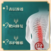 远红外腰椎理疗贴(宝芝林)
