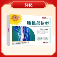 穴位压力刺激贴(腰椎部位型)(葵花)