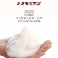 舒蕾滋养修护去屑山茶花洗发露