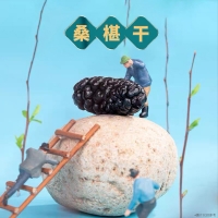 桑椹干（内廷上用）