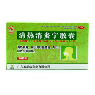 清热消炎宁胶囊(竹安)