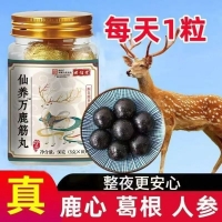 仙养万鹿筋丸