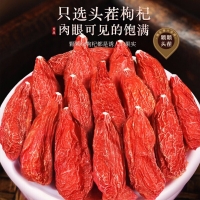 枸杞子(福东海)