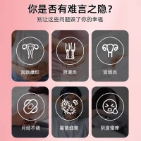 医用妇科凝胶(修正)