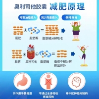 奥利司他胶囊(玖减)