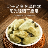 辛夷花(福东海)