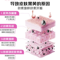 葡萄籽烟酰胺维生素C维生素E片(21金维他)