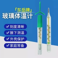 玻璃体温计(东岳牌)