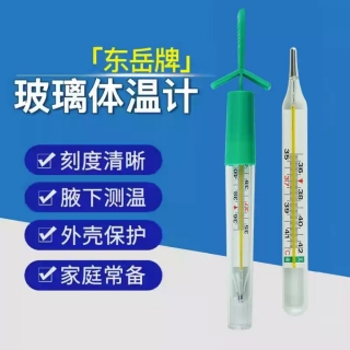 玻璃体温计(东岳牌)