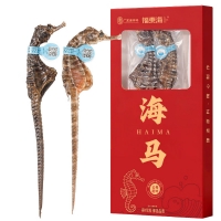 海马(福东海)