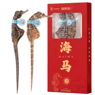 海马(福东海)