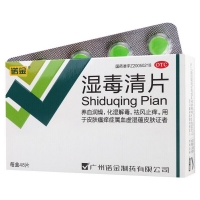 湿毒清片(诺金)
