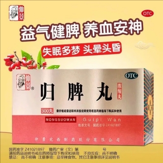 归脾丸(浓缩丸)(仲景)