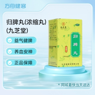 归脾丸(浓缩丸)(九芝堂)