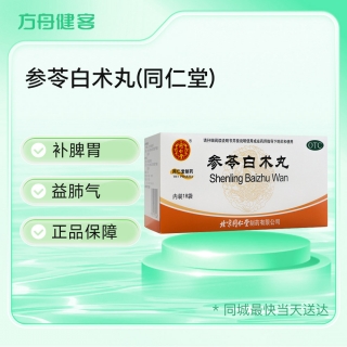 参苓白术丸(同仁堂)
