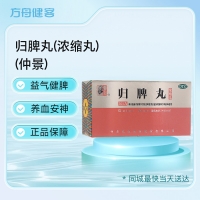归脾丸(浓缩丸)(仲景)