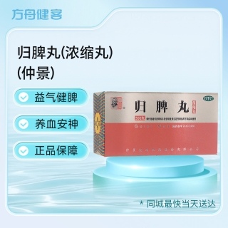 归脾丸(浓缩丸)(仲景)