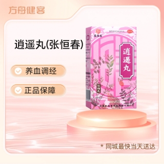 逍遥丸(张恒春)