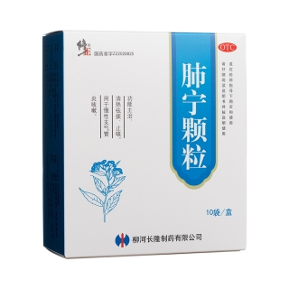 肺宁颗粒(修正)