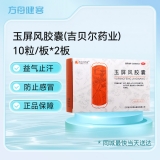 玉屏风胶囊(吉贝尔药业)