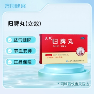 归脾丸(立效)