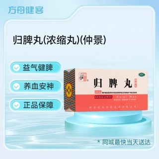 归脾丸(浓缩丸)(仲景)