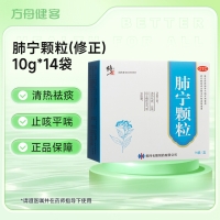 肺宁颗粒(修正)
