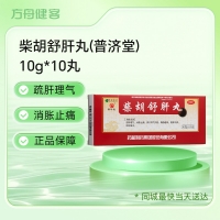 柴胡舒肝丸(普济堂)