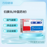 归脾丸(中国药材)