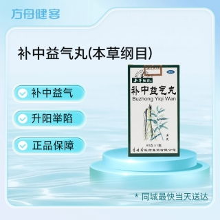 补中益气丸(本草纲目)