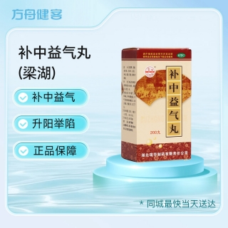 补中益气丸(梁湖)