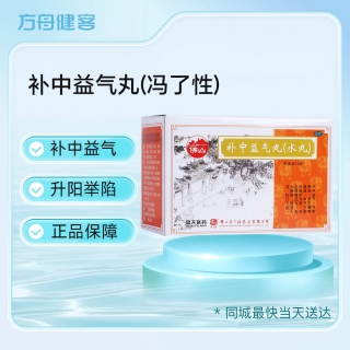 补中益气丸(冯了性)