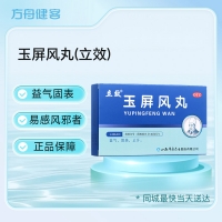 玉屏风丸(立效)