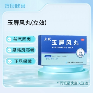 玉屏风丸(立效)