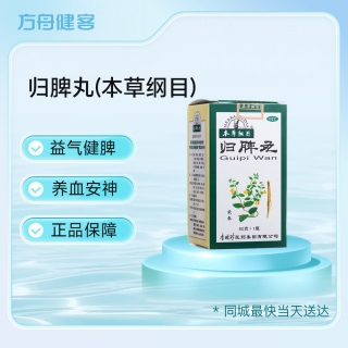 归脾丸(本草纲目)