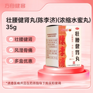 壮腰健肾丸(陈李济)(浓缩水蜜丸)