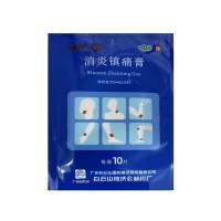 消炎镇痛膏(白云山)