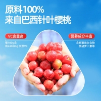 养生堂牌天然维生素C咀嚼片