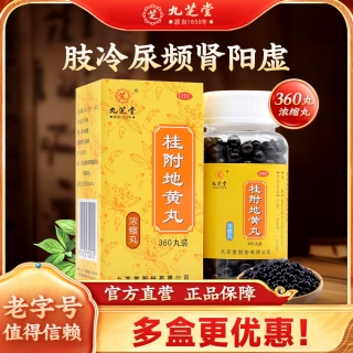 桂附地黄丸(九芝堂)(浓缩丸)