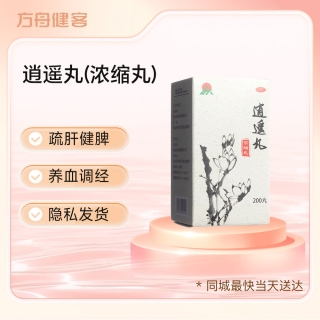 逍遥丸(浓缩丸)