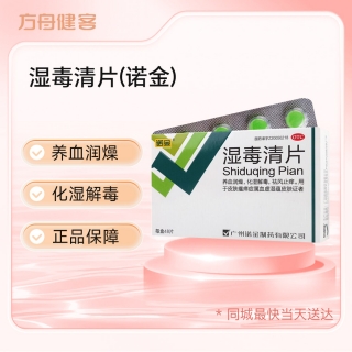 湿毒清片(诺金)