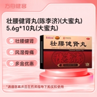 壮腰健肾丸(陈李济)(大蜜丸)